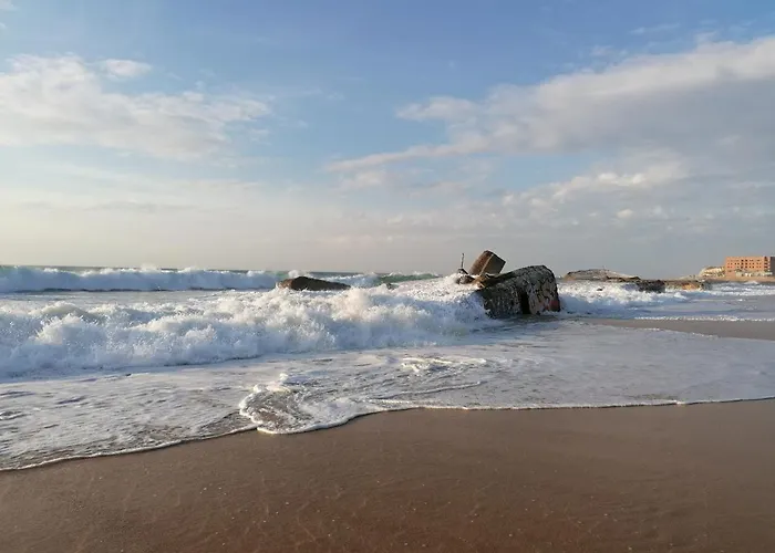 La Ocean Avec Et Piscine - Les De Camparan Labenne