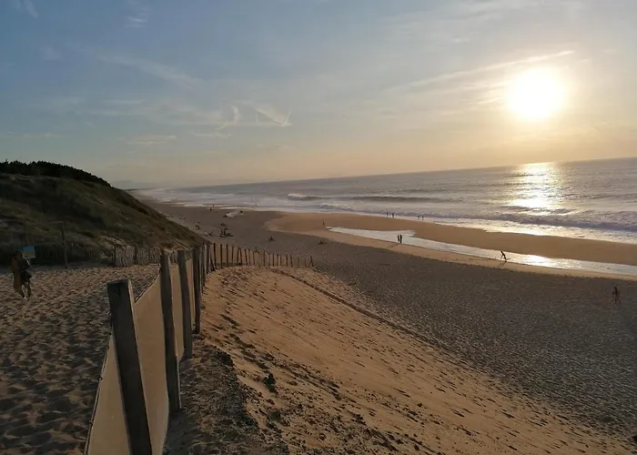 La Ocean Avec Et Piscine - Les De Camparan * Labenne